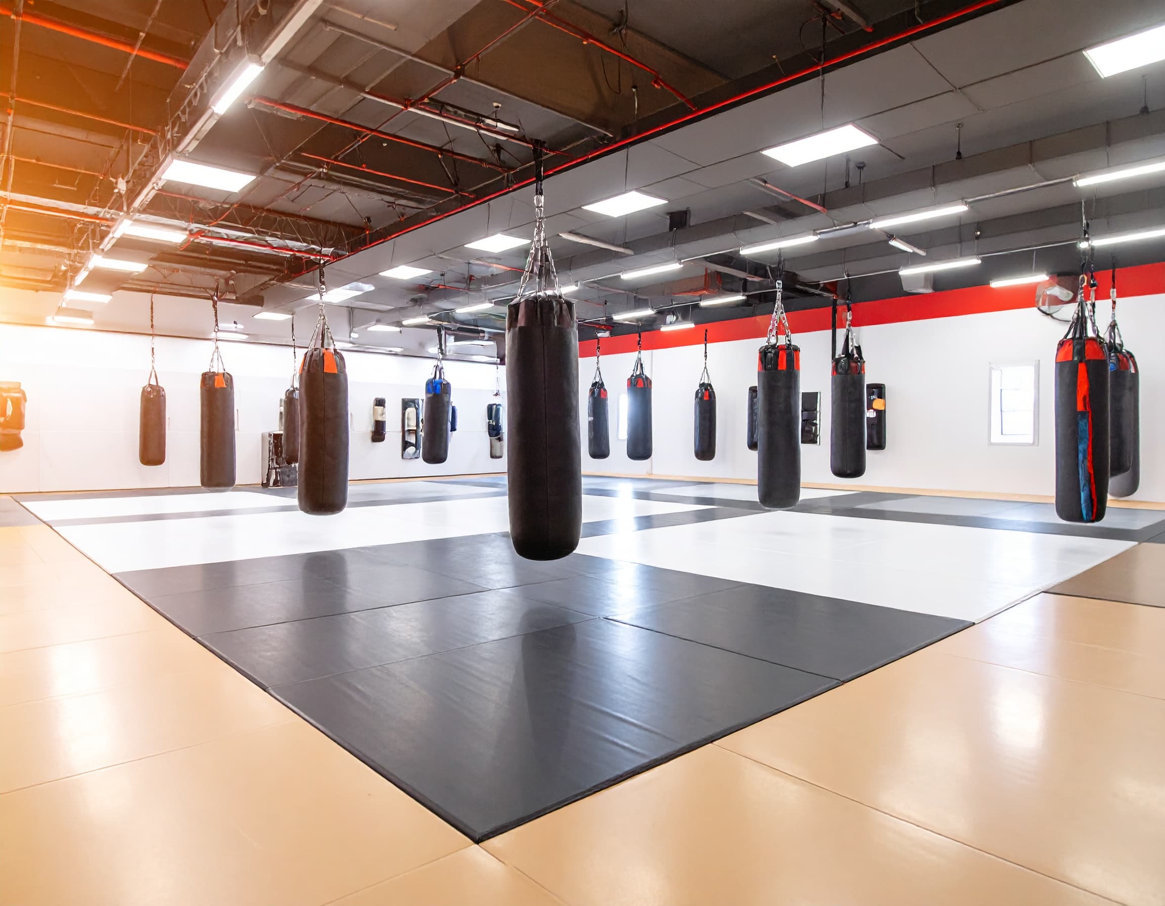 Groupe de pratiquants de sports de combat réalisant un exercice de renforcement contre le mur dans un dojo.